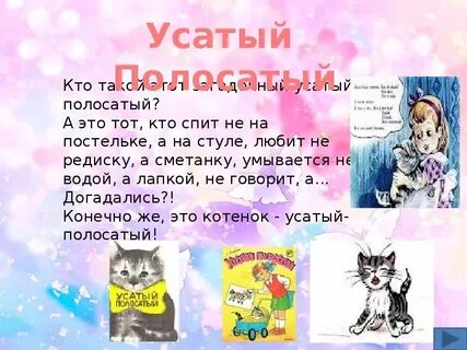 Усатый полосатый приют кемерово