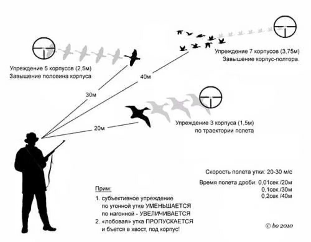 Скорость полета гуся. Упреждение при стрельбе по утке. Схема прицеливания пневматической винтовки. Стрельба по Гусям в лет упреждение. Как правильно стрелять гуся утку в лет.