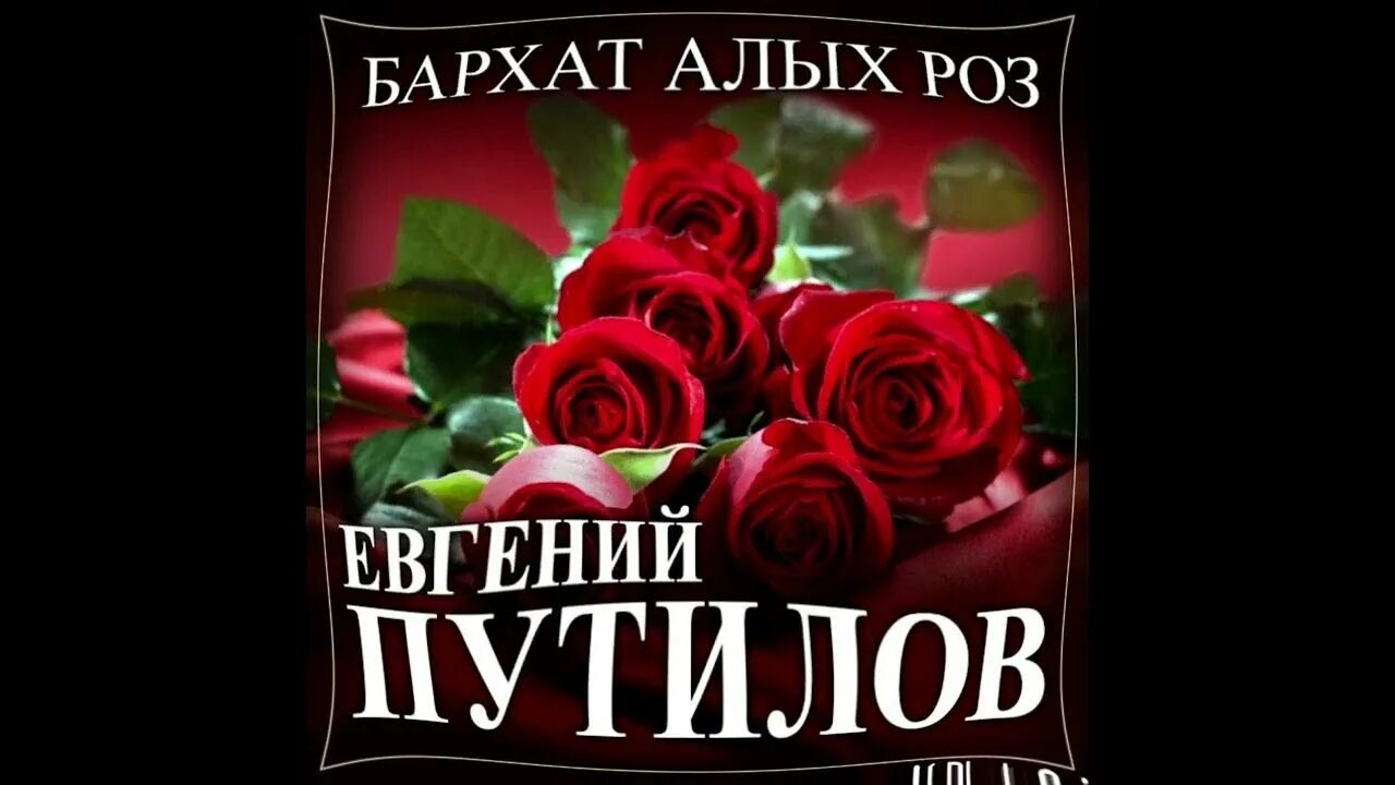 Алые розы мп3. Алые бархатные розы.