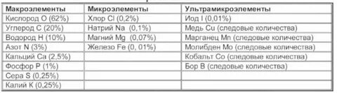 Микроэлементы содержание