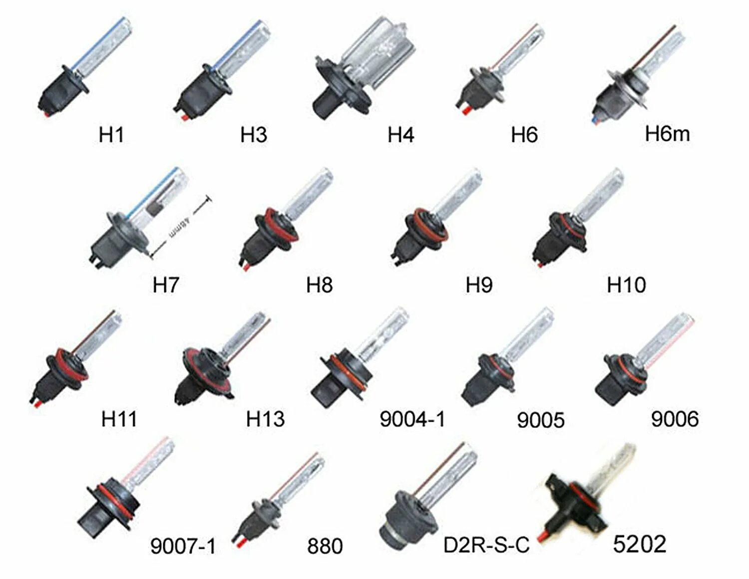 Цоколь для автомобильной лампы h13. Цоколь автомобильных ксеноновых ламп. Цоколь лампочки н7 ксенон. Цоколи автомобильных ламп h11.
