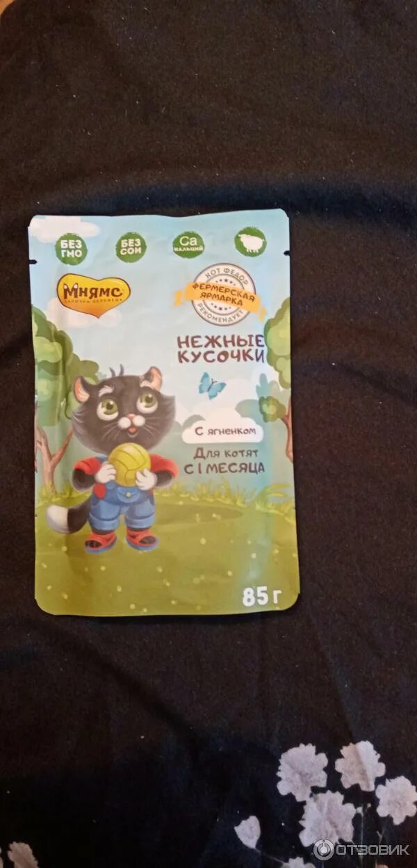 Мнямс сухой корм для кошек 10 кг. Корм мнямс для кошек отзывы ветеринаров. Корм мнямс для кошек отзывы ветеринаров. Мнямс влажный корм для кошек. Мнямс паучи для взрослых кошек с лососем 100 г в соусе, кожа и шерсть.