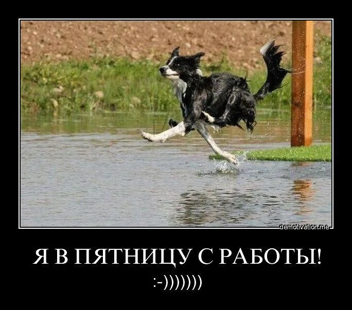 Опять бежишь куда бежишь
