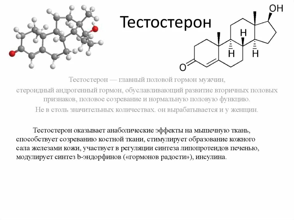 Тестостерон это гормон