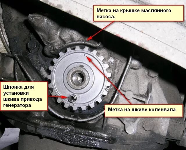 Где найти метки. Метки ремня ГРМ Калина 8 клапанная. Шкив коленвала ГРМ Калина 8 клапанов. Метка коленвала Калина 8 клапанная.