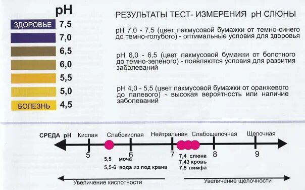 Показатель PH В моче норма у женщин. Концентрация водородных ионов (PH мочи ). Уровень PH крови норма. PH крови в норме таблица. Показатели слюны