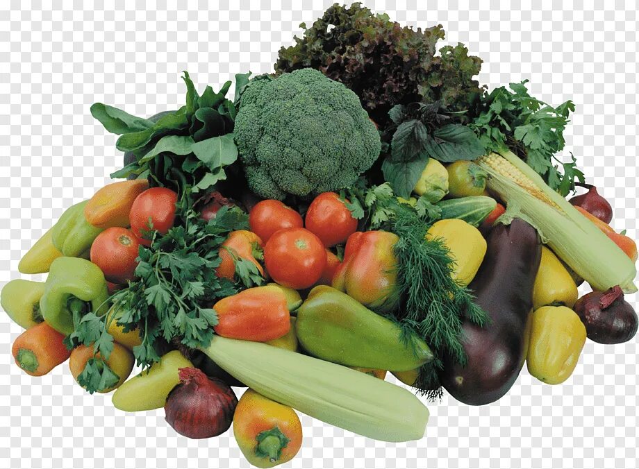 Самые богатые овощи. Овощи и фрукты. Плодовые овощи. Овощи картинки. Овощи и фрукты на прозрачном фоне.
