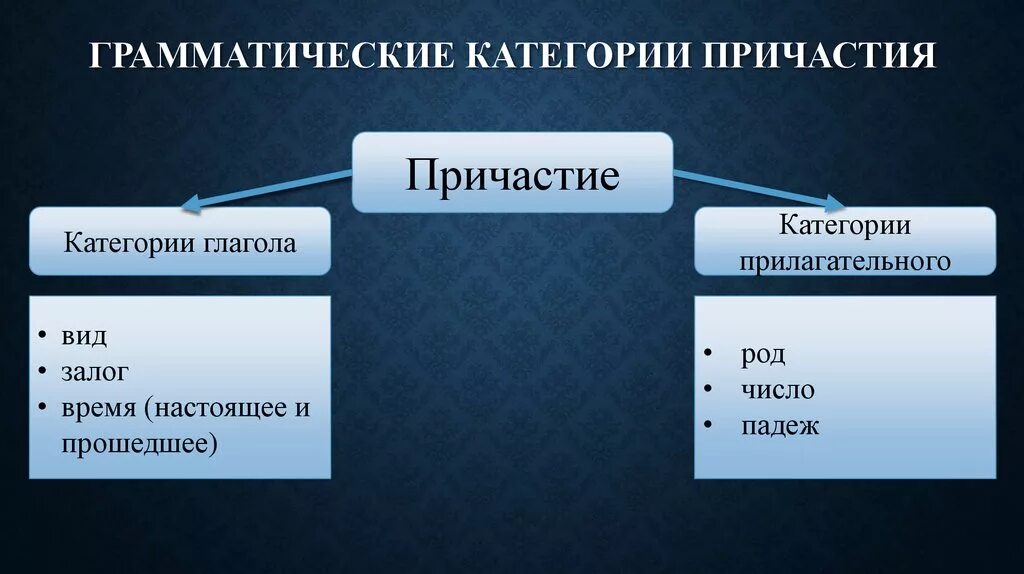 Грамматические категории причастия. Категории причастий. Грамматические типы причастий. Глагольные категории причастия. Определить грамматические категории слов