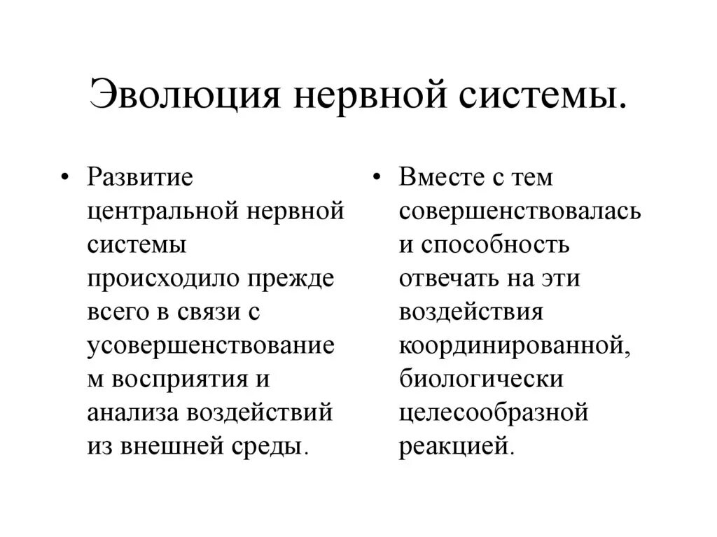 Развитие нервной системы и поведения. Эволюция типов нервной системы животных. Эволюция нервнойсистем. Этапы формирования нервной системы. Эволюционирование нервной системы.