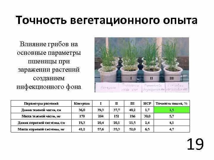 Схема вегетационного опыта. Точность опыта. Вегетационный эксперимент. Показатель точности опыта.