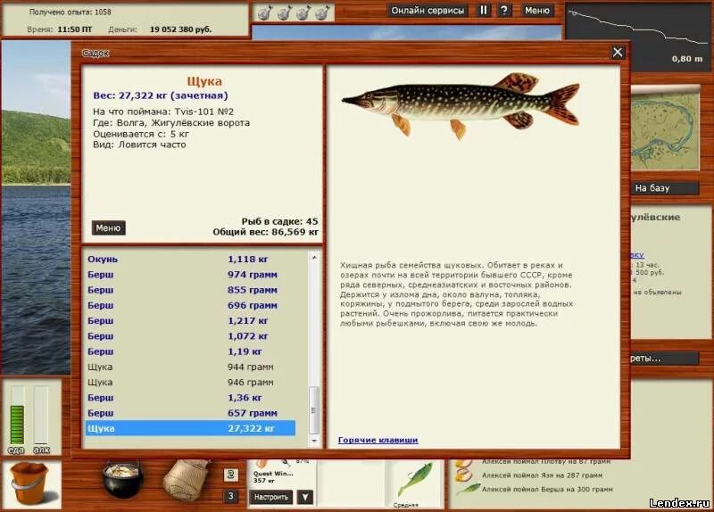 Русская рыбалка щука. На что клюет щука в русской рыбалке. Щука в игре русская рыбалка. Русская рыбалка щука озеро. Русская рыбалка 3 щука