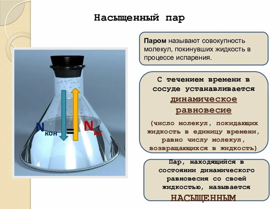 Динамическое равновесие пара со своей жидкостью