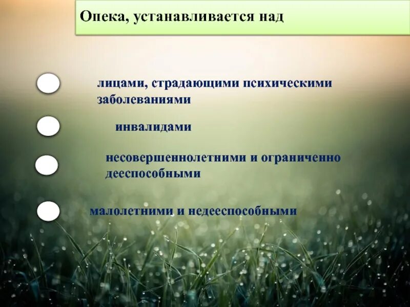 Опека устанавливается над выберите один ответ