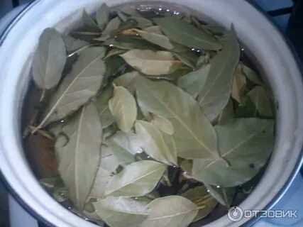 Кладут ли лавровый