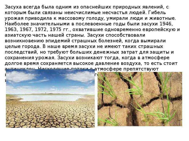 Какая проблема не характерна для поволжья засуха. Сообщение о засухе. причины возникновения засухи. засуха явление. засуха доклад.