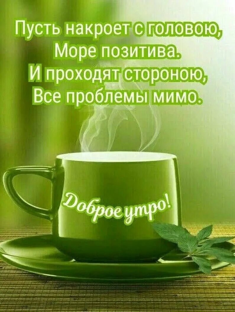 Бодрого успешного дня. С добрым утром. кружка зеленый чай. доброго утра удачного дня. доброе утро позитивного настроения.