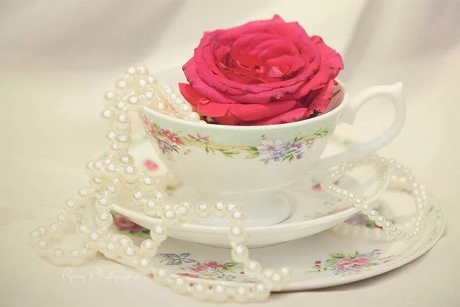 Rose cup