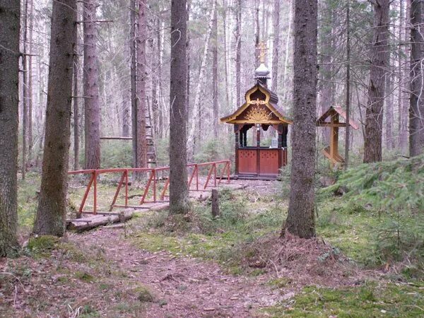 Святой Родник Новошино Шатурский район. Деревня Новошино Шатурский район. Святой источник Шатура. Святой источник деревня Райки. Родники шатура