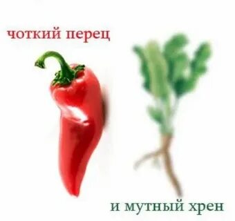 Перец хрен