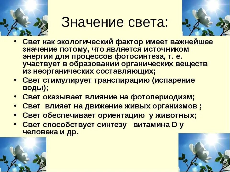 Цвет необходим живым организмам для. Свет как экологический фактор. Значение света. Значение света для живых организмов. Значение света в жизни растений.