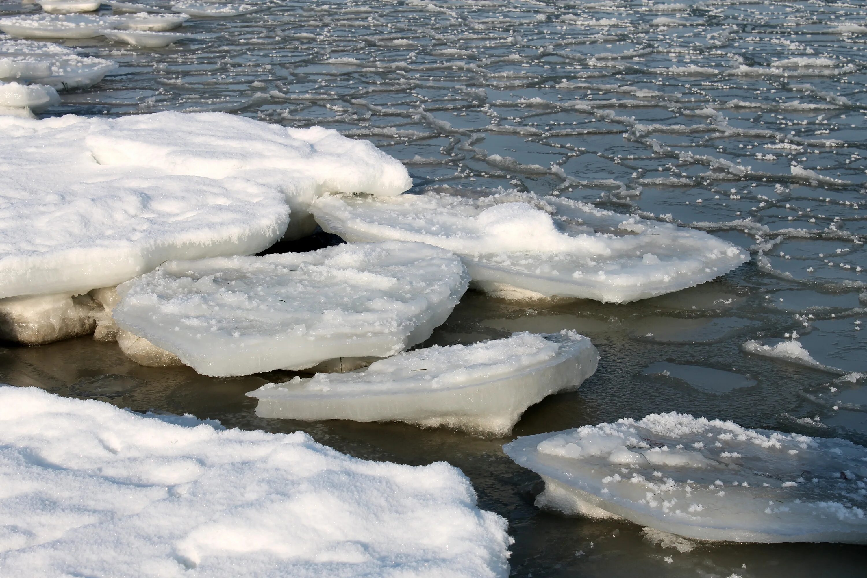 Чем можно растаять лед. Снежура в Питере. Льдины на реке. Лед на реке. Таяние льда.