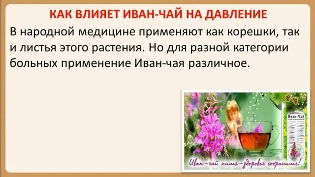 Можно ли зеленый чай при высоком давлении. Понижает или повышает давление кипрей.