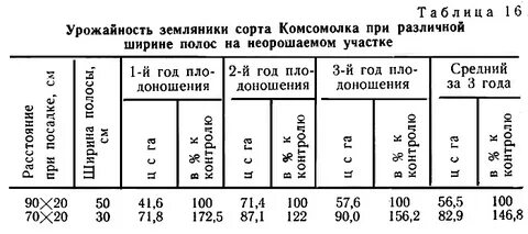 Урожайность клубники
