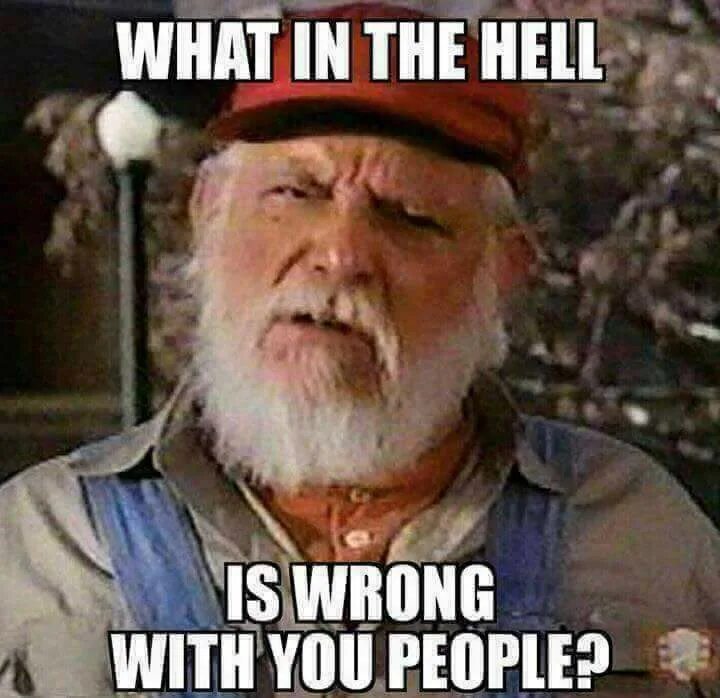 What the hell is bad. What the hell is wrong with you?. what the hell are you. what&#039;s the hell is wrong with you people.