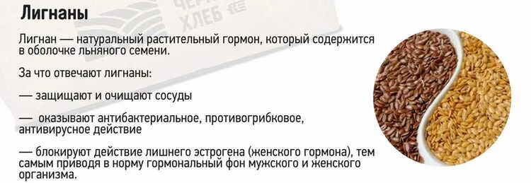 Лен польза для организма для женщин. Свойства семена льна полезные свойства. Лен семена характеристика. Для чего полезны семена льна. Лён семена чем полезен лен для организма.