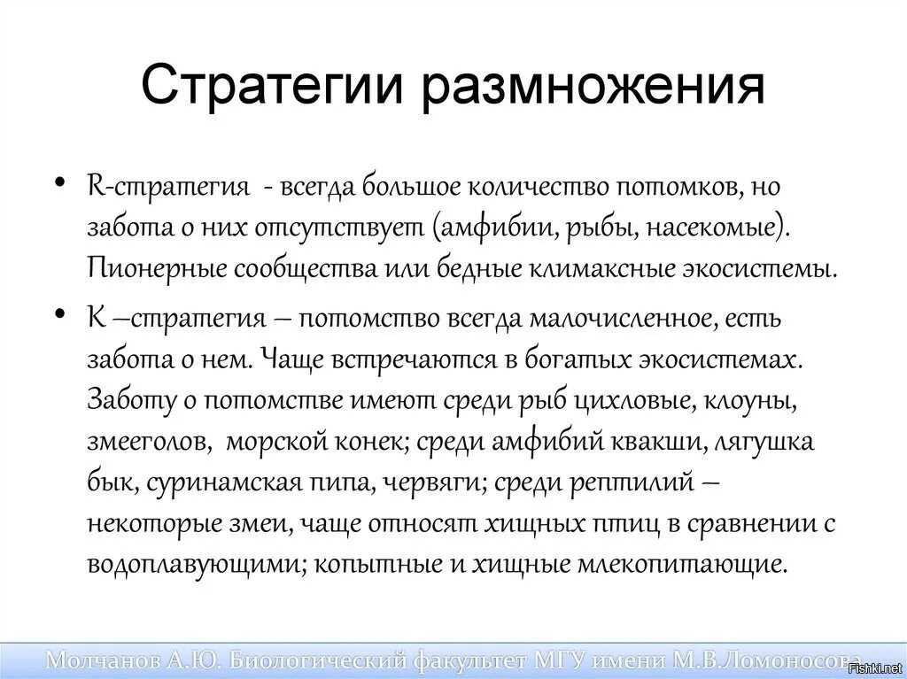 R стратеги. Стратегии размножения. стратегии размножения популяции. стратегии выживания организмов. к стратегиям размножения относятся.