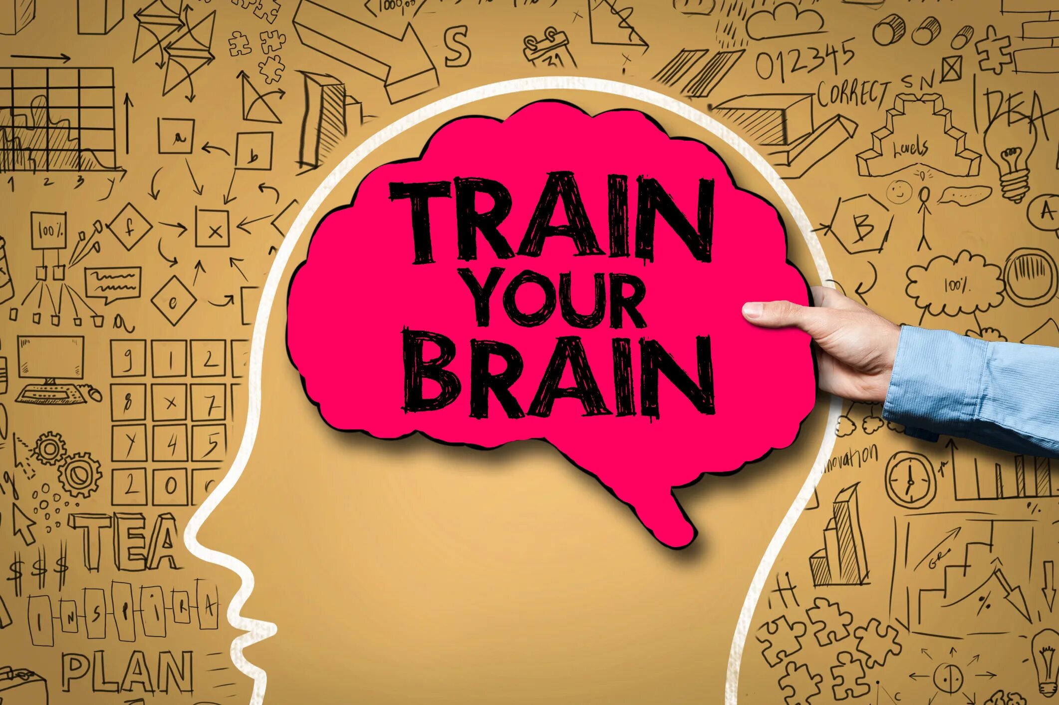 Train your brain. Рисунок train your brain. your brain. brain training.