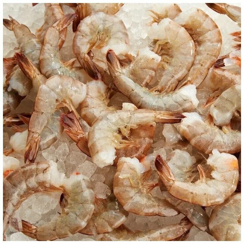 креветки очищенные с хвостом 26/30 emborg 850гр производитель. креветки 26 30. креветки 26 30. креветки 26 30. креветки 26 30.