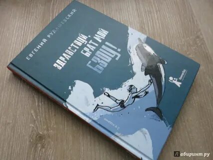 Рудашевский ворон краткое