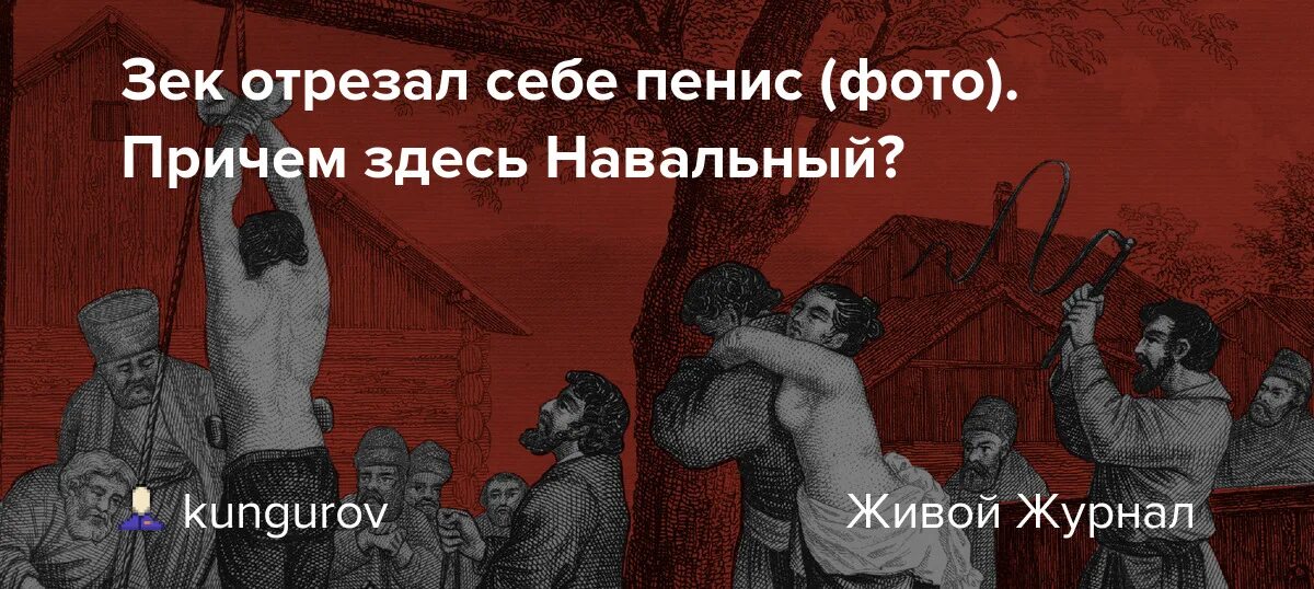 Куплю Отрезанный Член