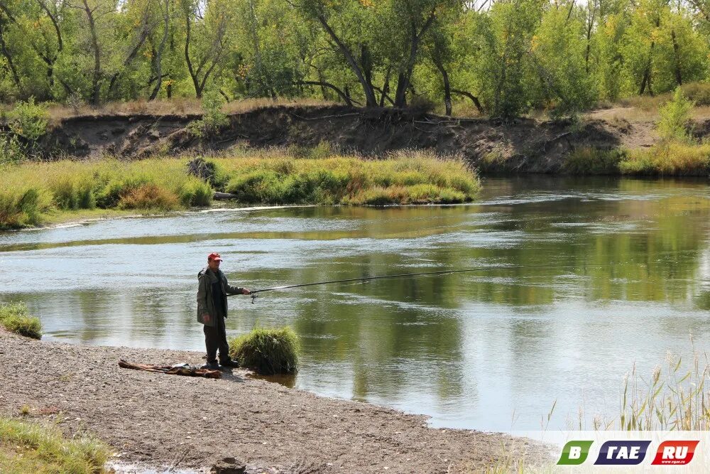 Рыбалка в оренбурге и оренбургской области. Река Урал село Колпакское. Салмыш река Оренбург. Река Урал мелеет. Сакмара река Салмыш.