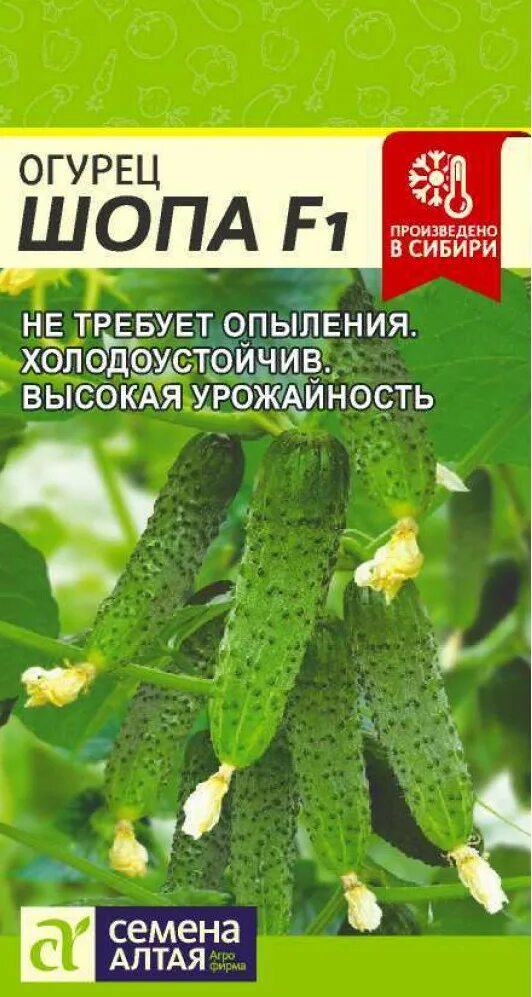 Шопа f1. Огурец алтай. Шопа f1. Огурец шопа семена алтая. Огурец шопа f1 /сем.