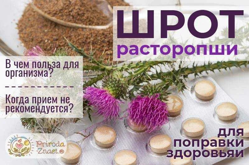 Расторопша польза семян расторопши. Шрот расторопши. Польза расторопши. Расторопша польза. Расторопшу чем полезна.