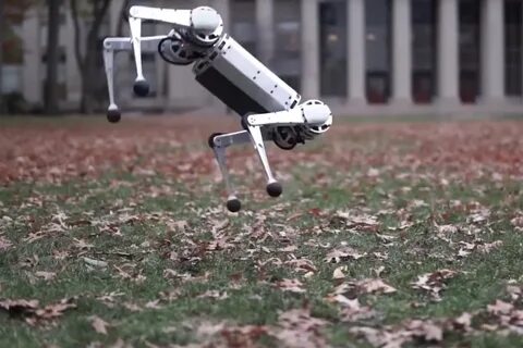 Legged robots