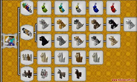 Advanced 1.16 5