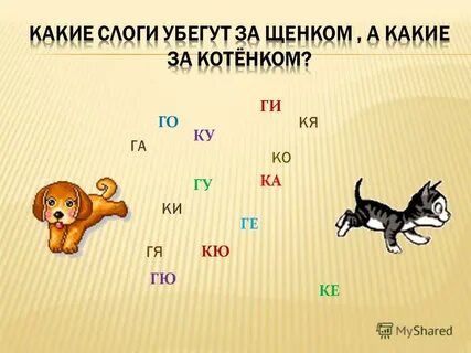 Прибыв слоги