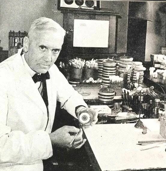 Alexander fleming discovered penicillin. Alexander Fleming. Флеминг пенициллин. Флеминг антибиотики.