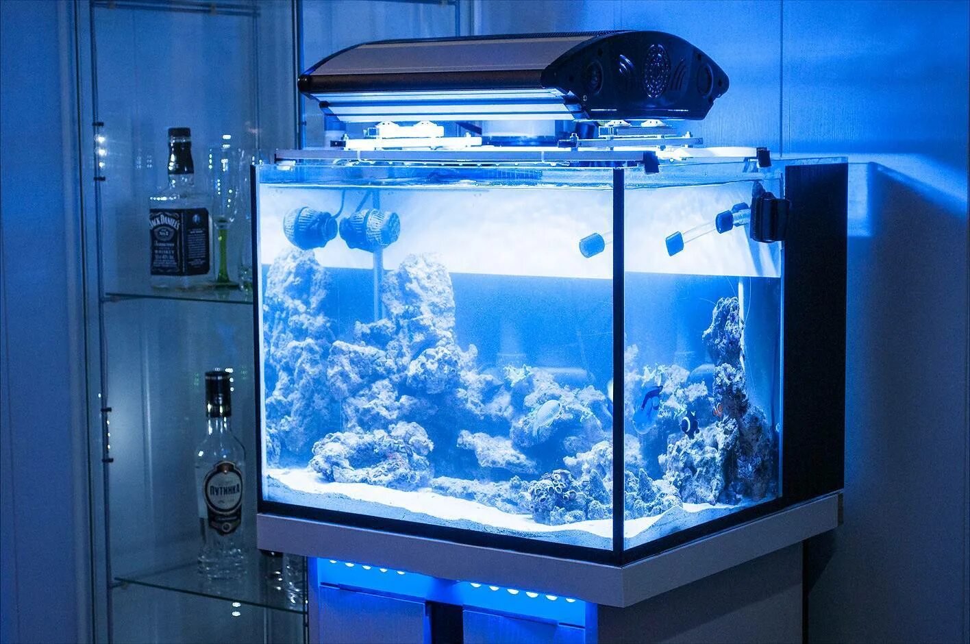 Aquarium перевод. Морской аквариум 100л. Морской аквариум 100 литров. Аквариум Pro 100 Aqva. Оборудование для морского аквариума на 100 литров.