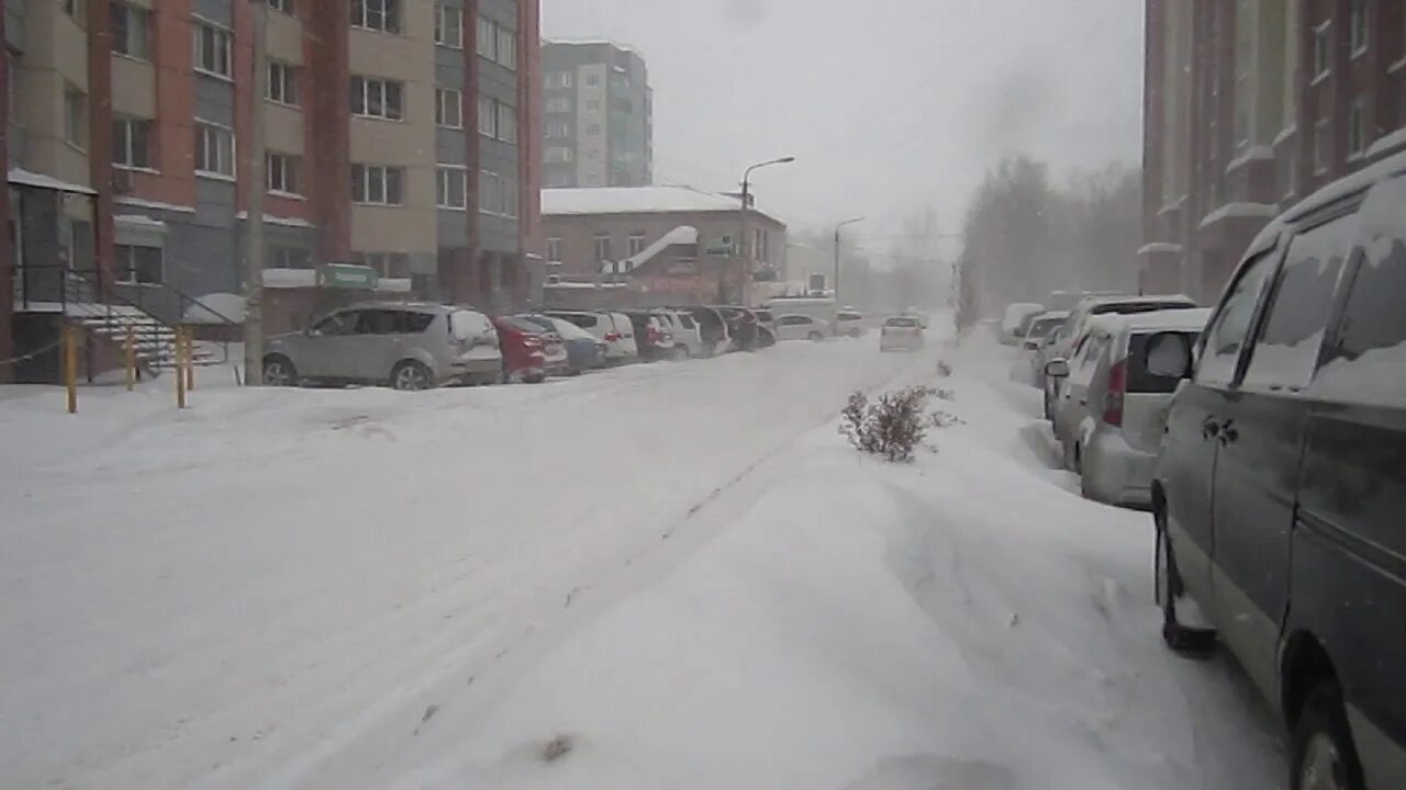 Погода в бердске. Новосибирск зимой Бердск. Новосибирск замело снегом. Дорога НСК В Бердске зимой. Курьер в снегопад.