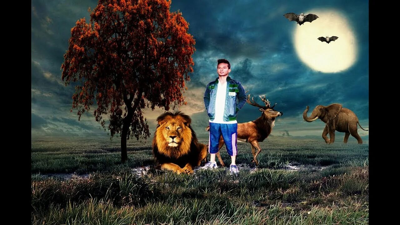 Animal edits. Forest Manipulation. Forest King группа. King photo Manipulation. The Forest King Lion.