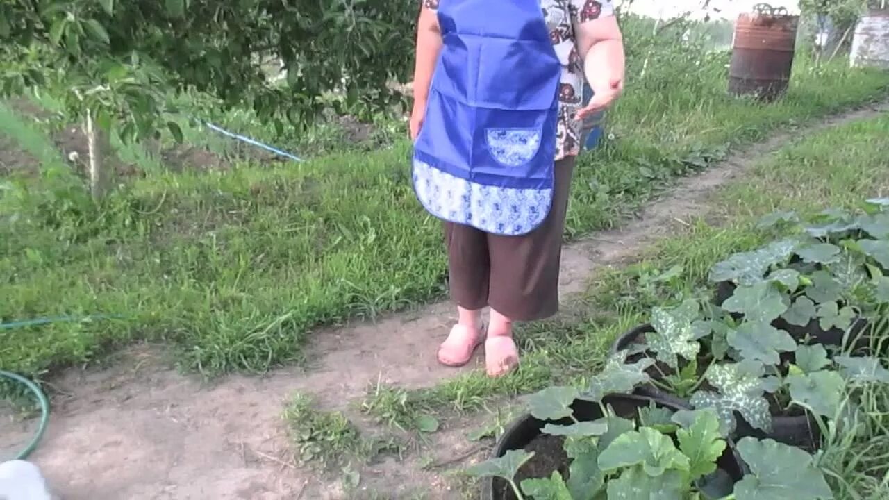 Огородное видео