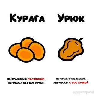 Чем отличается курага