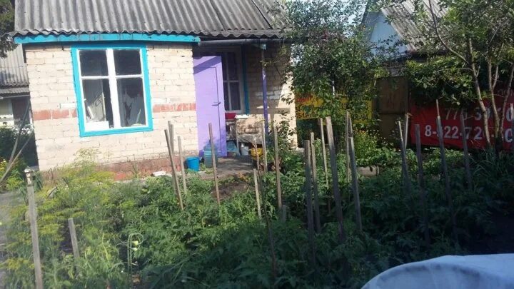 Тракторосад no 3 просп ленина 8. Тракторосад 3. тракторосад 6 юбилейный. в каком году образовался снт тракторосад номер 3 челябинск. адрес тракторосад 2 челябинск.