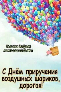 День приручения воздушных шариков картинки