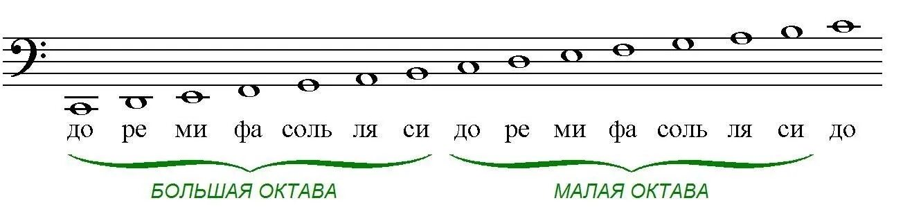 Басовый ключ малая Октава. Басовый ключ малая Октава большая Октава. Малая и большая Октава в басовом Ключе. Нотный стан басовый ключ фортепиано. Вторая октава на нотном