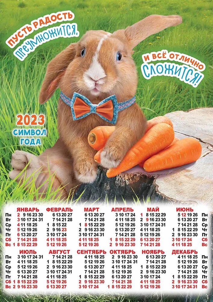 Календарь 2023г. Календарь на 2023 год с кроликом. Календарь на 2023 год. Настенный календарь 2023 кролик.